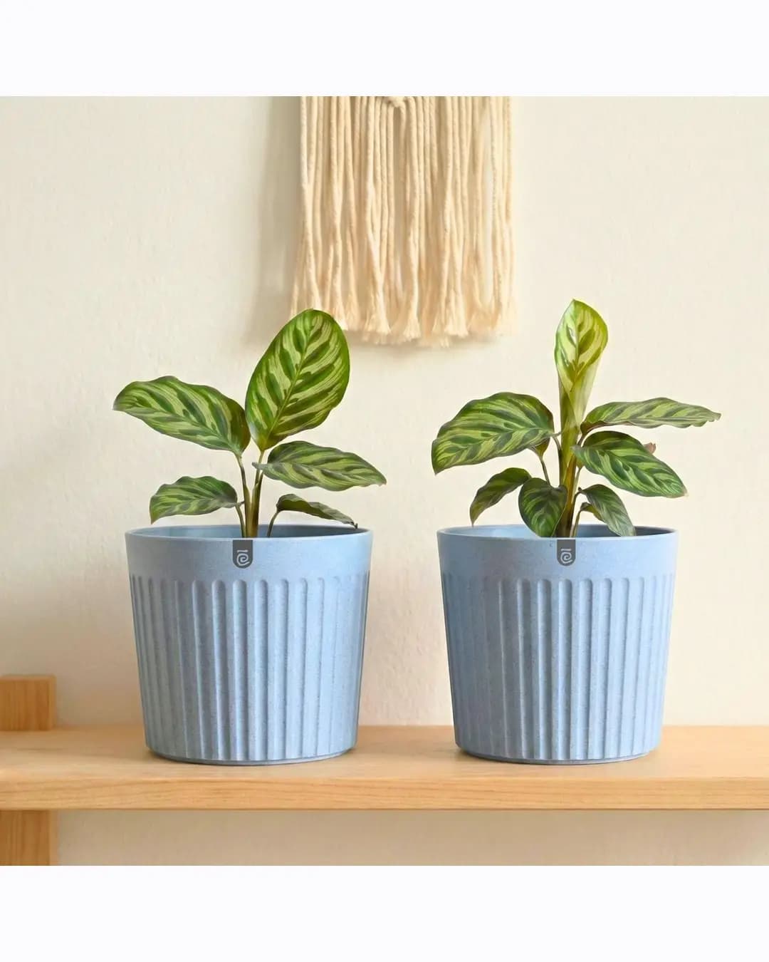 EHA Romano 7.5 inch Planters for Home Decor – Set of 2