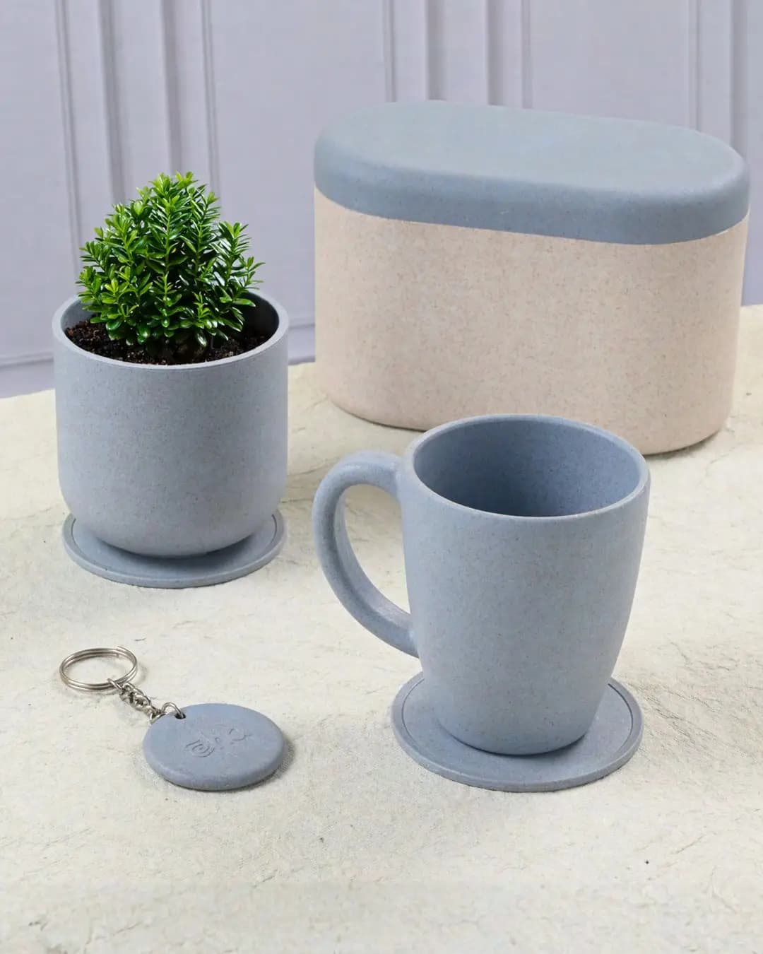 EHA Duo Gift Box DHG002 – Classic Mug, Terrapod Planter & Keychain