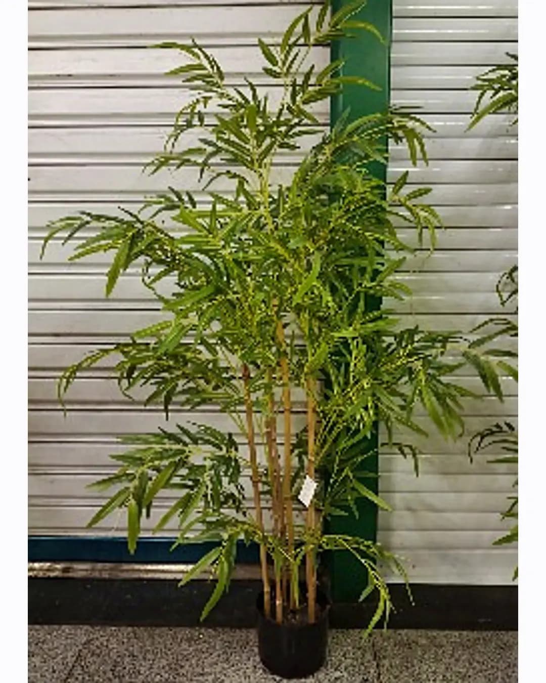 Artificial Bamboo Plant (MM-1908)