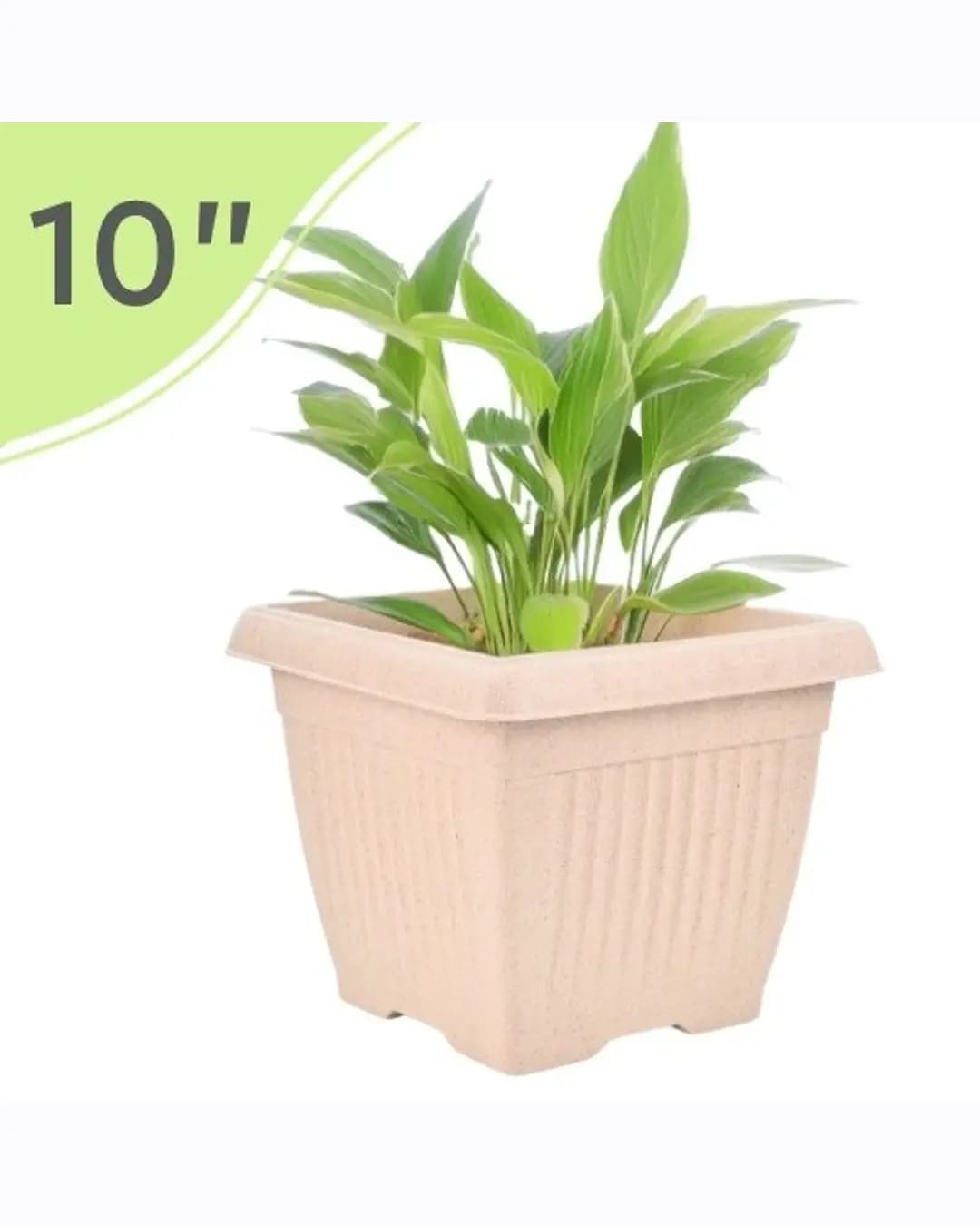 EHA Bella Natural Square Planter 10″