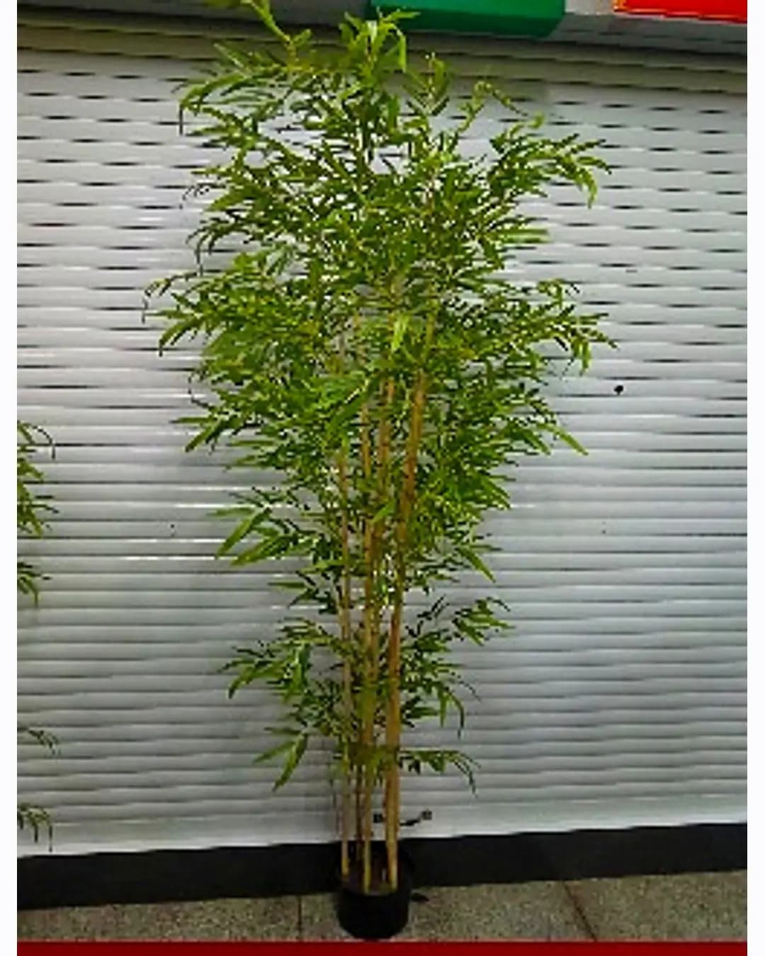 Artificial Bamboo Plant - Large