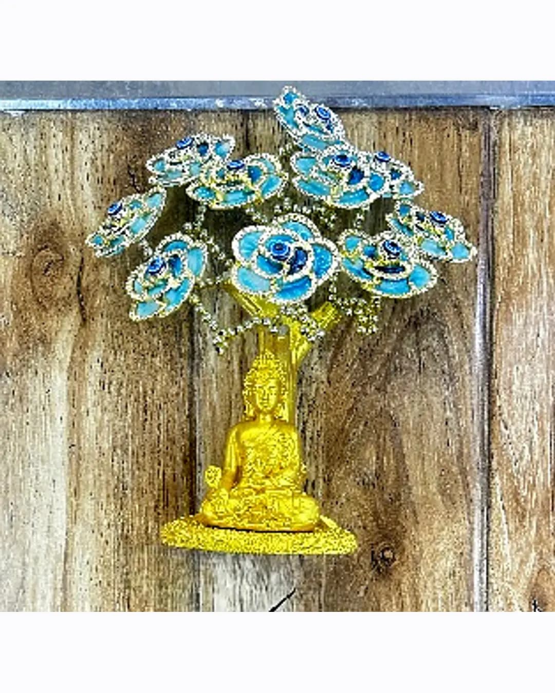 Buddha Money Tree