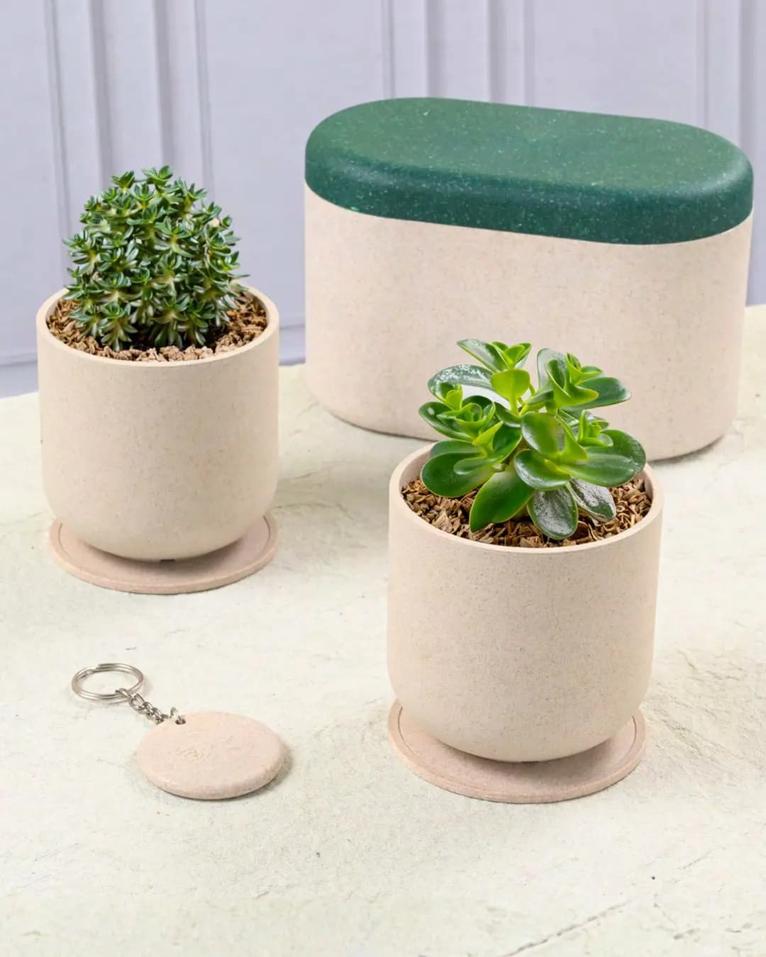 EHA Duo Gift Box DGG006 – 2 Terrapod Planters, Coasters & Keychain