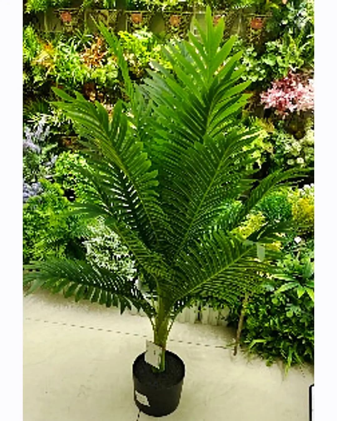 Artificial Palm Plant (MM-1940)