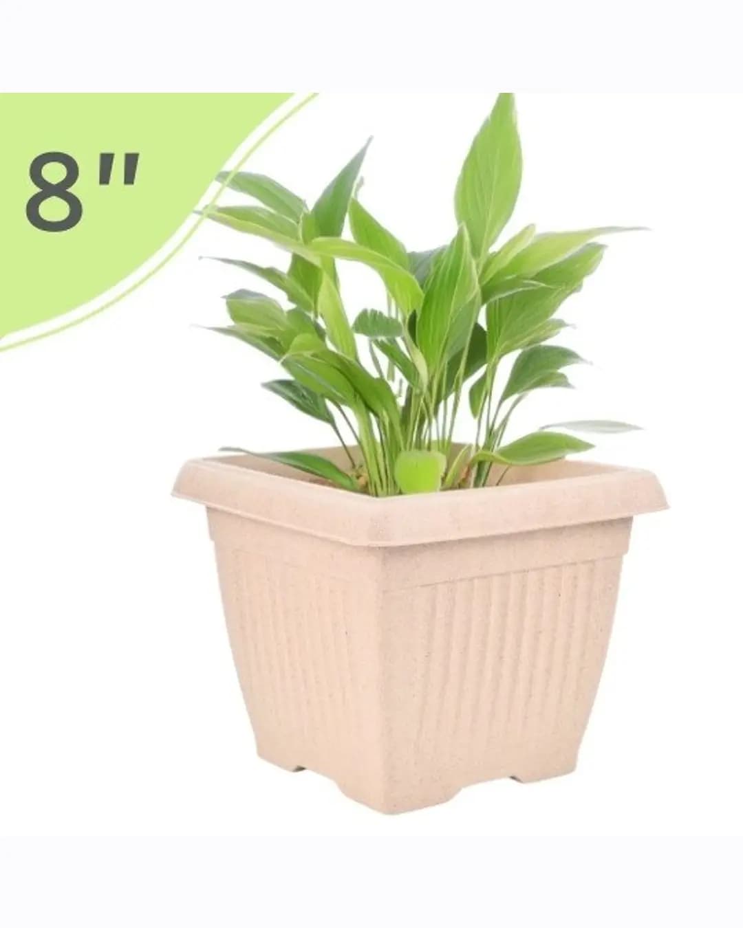EHA Bella Natural Square Planter 8″