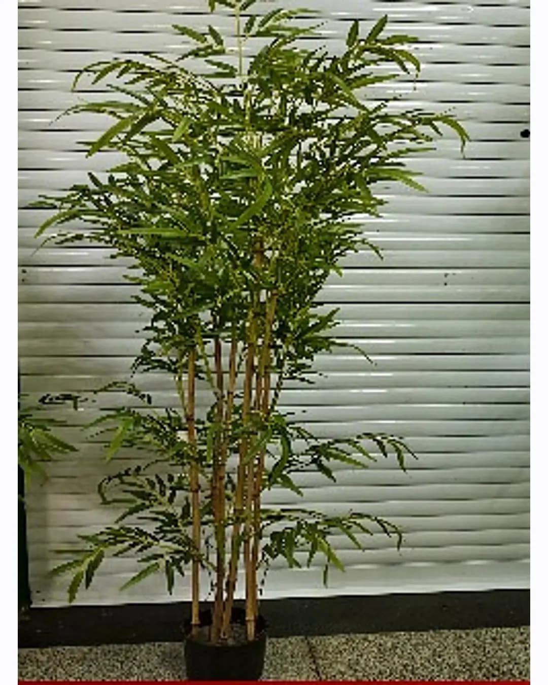 Artificial Bamboo Plant (MM-1909)